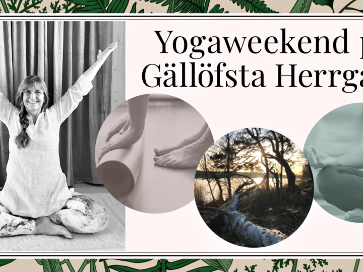 Yoga weekend med Susanne H Lindskog vt 2023